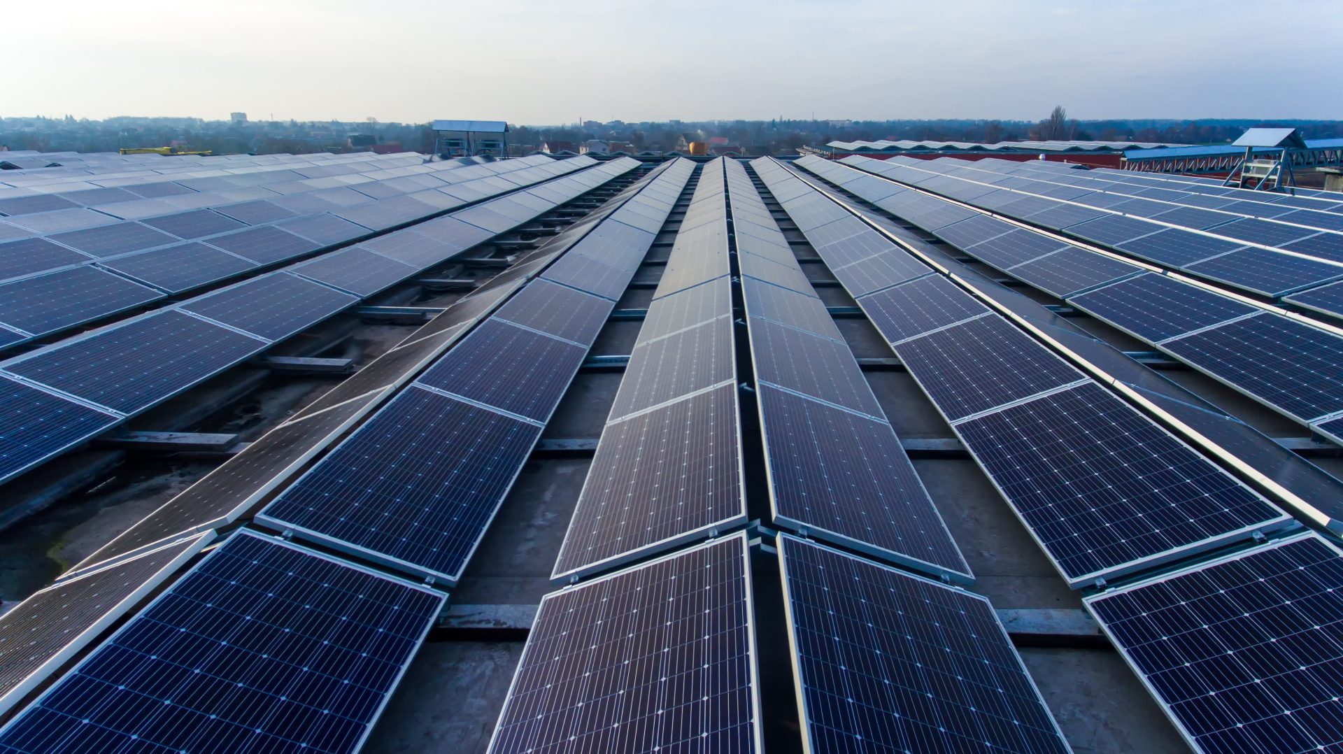 Das Flachdach einer Industriehalle ist komplett mit Solarpanelen belegt.